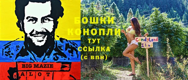 мескалин Осинники